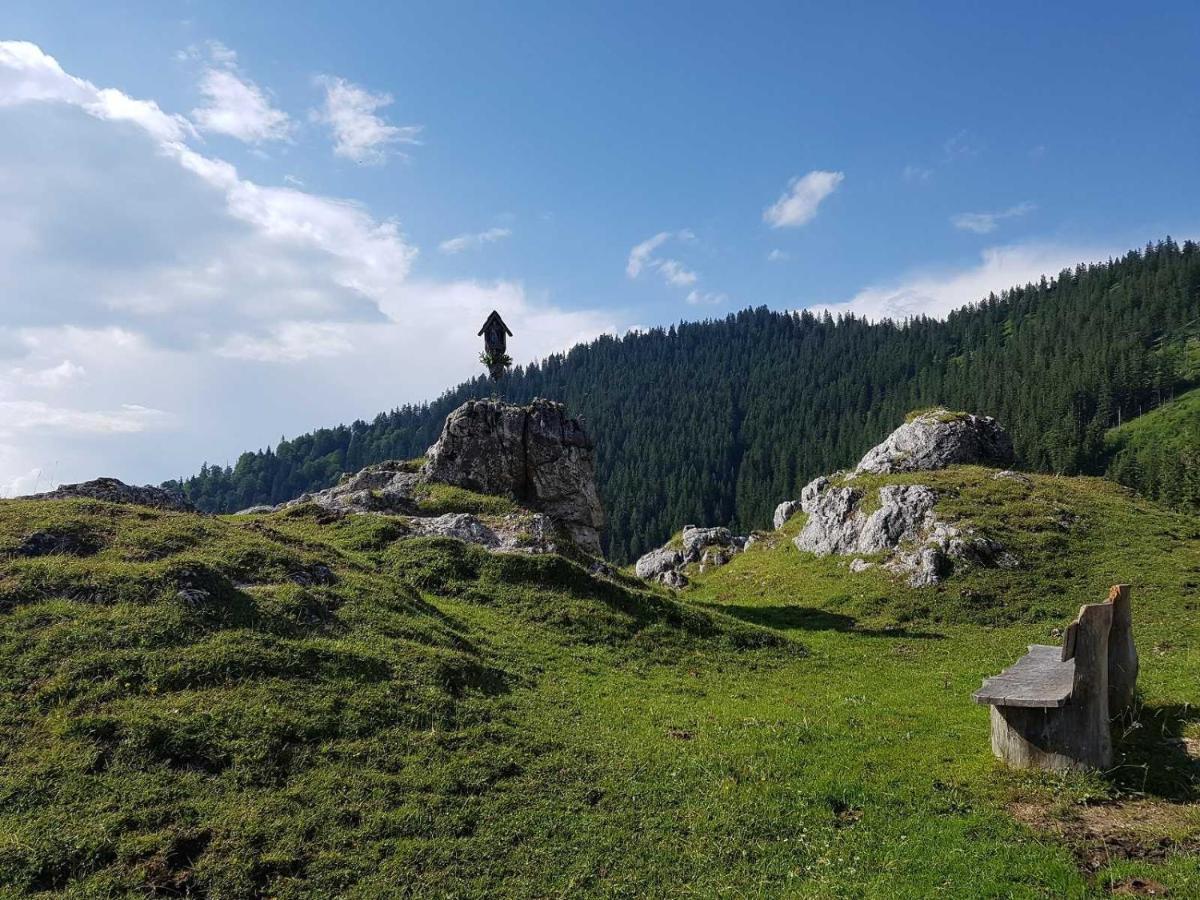 Haus Wiesenblick Oberwössen Dış mekan fotoğraf